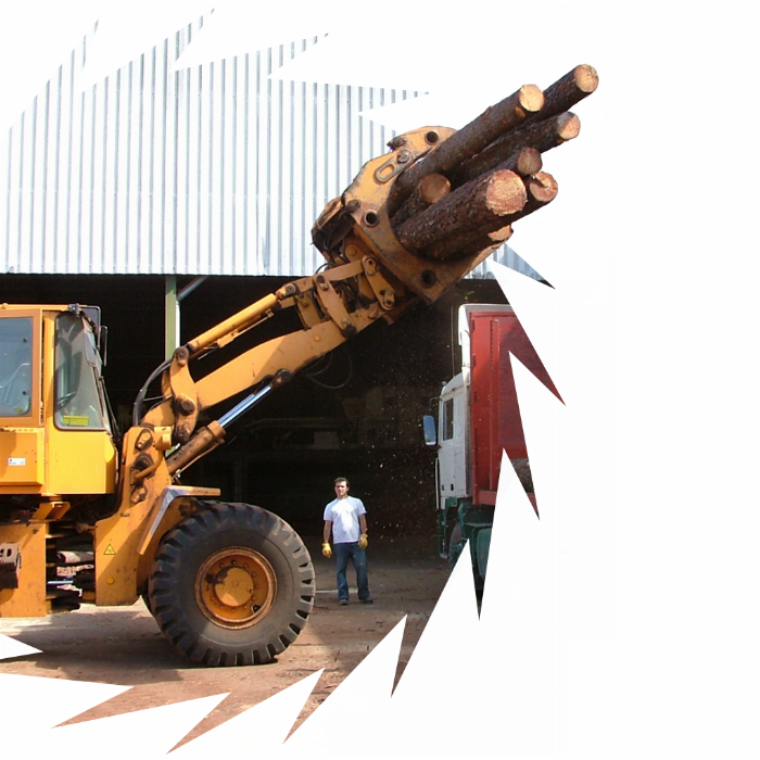 Meet the Madeifátima